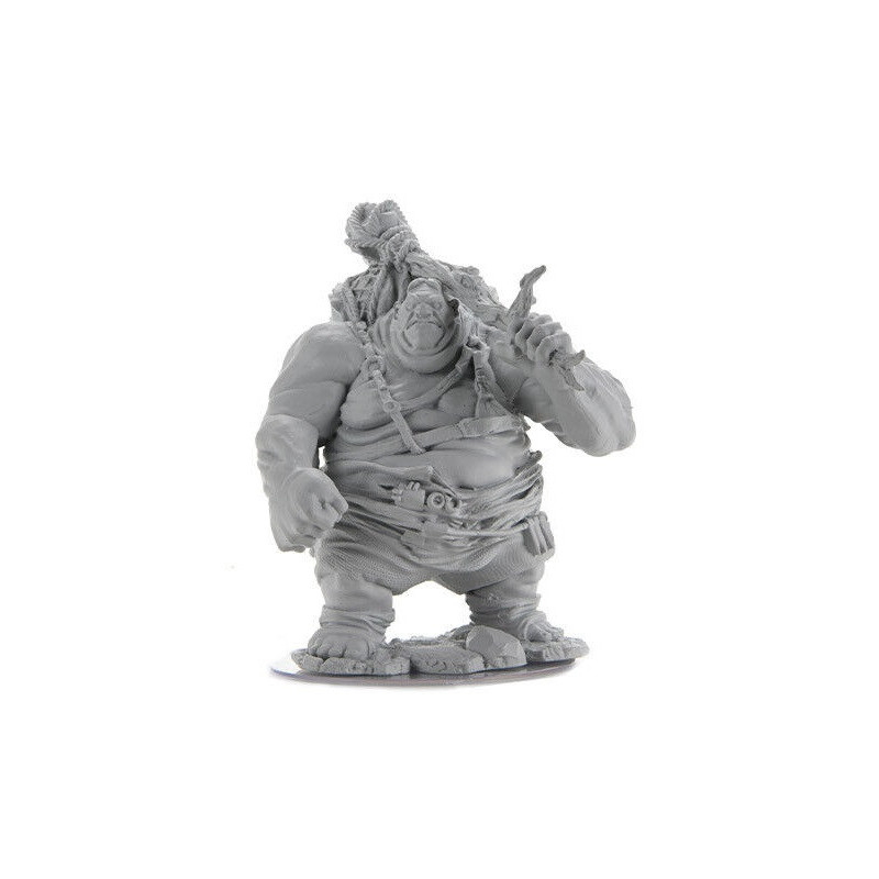 Dungeons & Dragons: Nolzur’s Marvelous - Figurine miniature à peindre Hill Giant