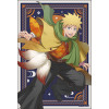 Naruto Shippuden - Set de 7 cartes illustrées Zinrou ver.