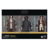 DÉCEMBRE 2024 : Star Wars - Black Series - Pack 3 figurines Qui-Gon Jinn, Darth Maul, Obi-Wan Kenobi