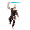 Star Wars - Black Series - Figurine Ki-Adi-Mundi 15 cm (Episode II)