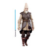 Star Wars - Black Series - Figurine Ki-Adi-Mundi 15 cm (Episode II)