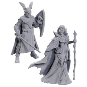Dungeons & Dragons: Nolzur’s Marvelous - Figurines miniatures à peindre Elves