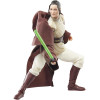 NOVEMBRE 2024 : Star Wars : The Acolyte - Black Series - Figurine Jedi Master Indara 15 cm