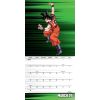 Dragon Ball Z - Calendrier 2025