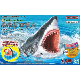 Maquette Great White Shark (Model Kit)