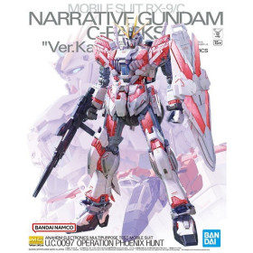Gundam - MG 1/100 Narrative C-Packs Ver.Ka
