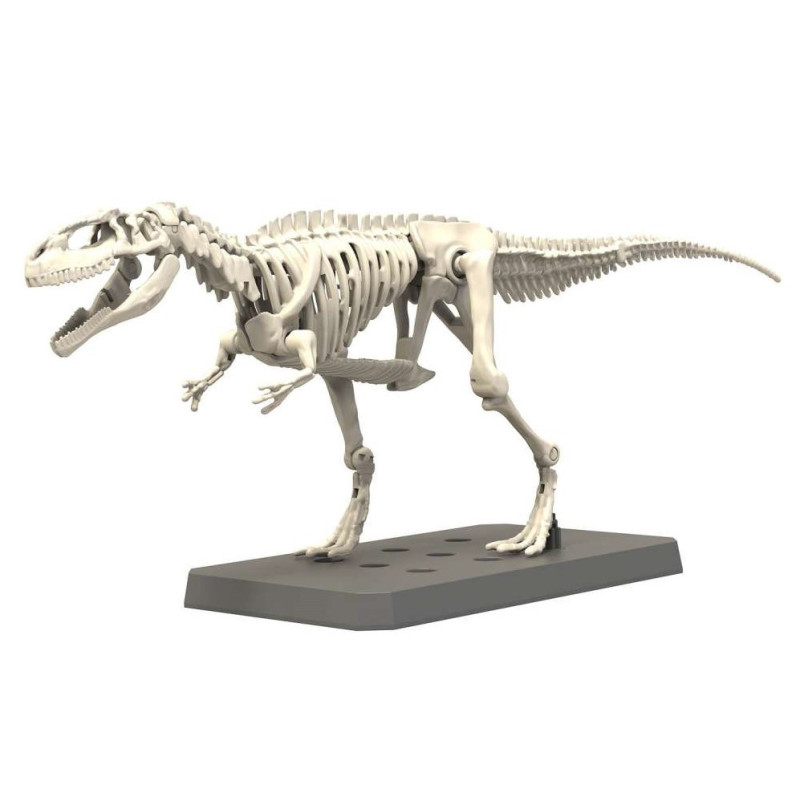 Model Kit Imaginary Skeleton Plannosaurus Gigantosaurus