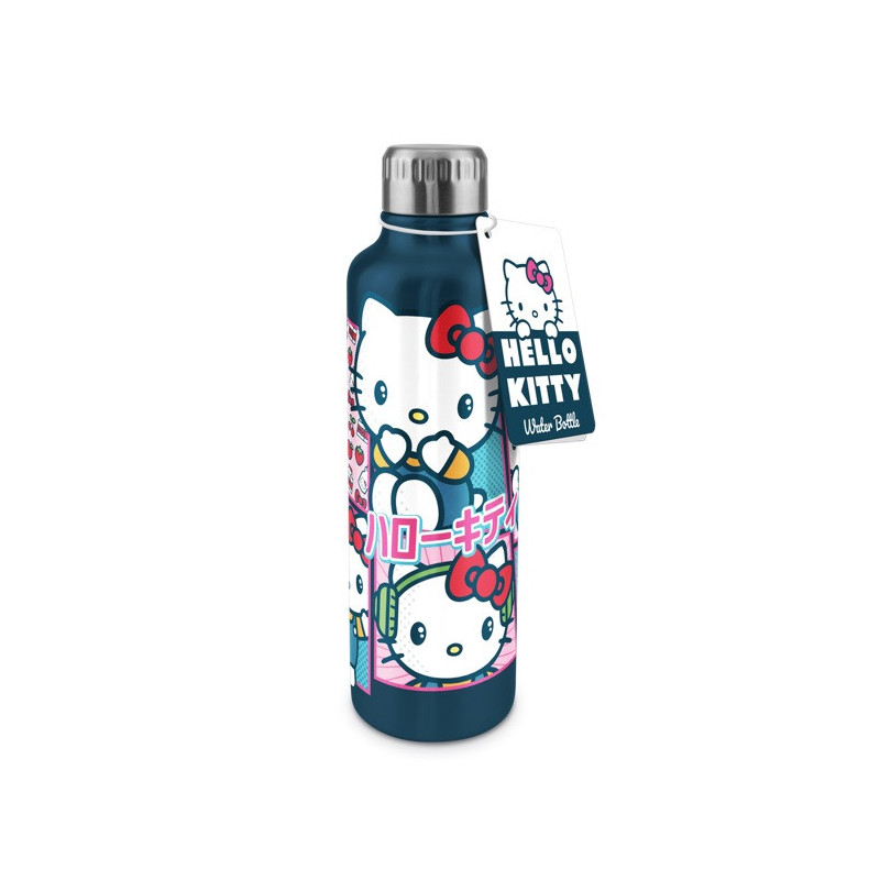 Sanrio - Bouteille gourde en métal 500 ml Hello Kitty