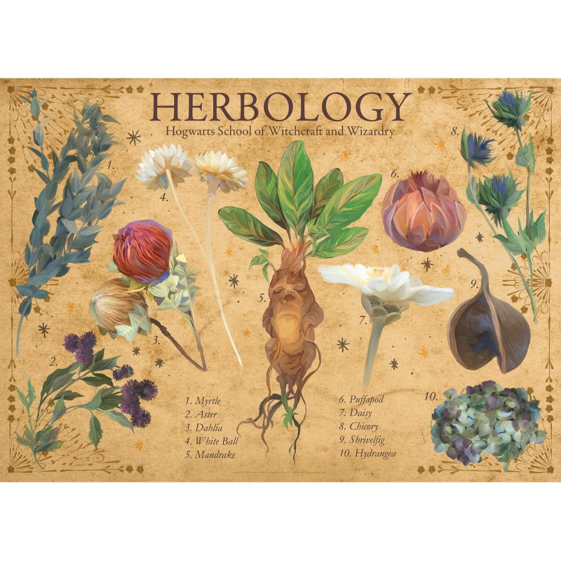 Harry Potter - Puzzle 1000 pièces Herbology