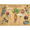 Harry Potter - Puzzle 1000 pièces Herbology