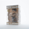 Harry Potter - Figurine Harry Pile de Grimoires