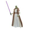 JANVIER 2025 : Star Wars : The Acolyte - The Black Series - Figurine Jedi Master Vernestra Rwoh 15 cm