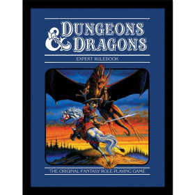 Dungeons & Dragons - poster encadré Expert Rulebook (30 x 40 cm)