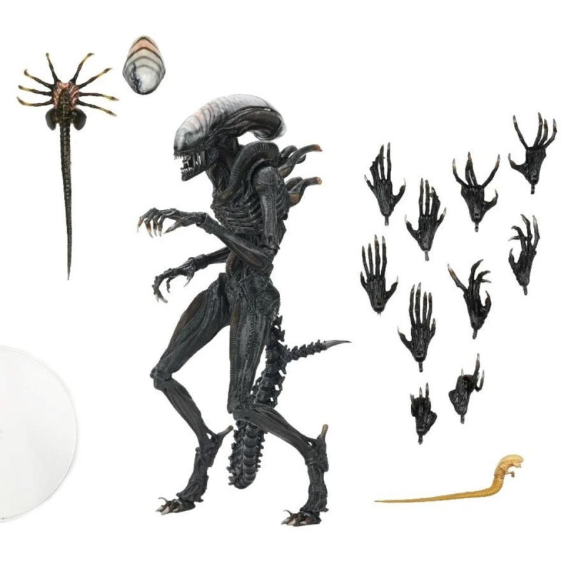 FÉVRIER 2025 : Alien : Romulus - Accessoires pour figurines Accessory Pack