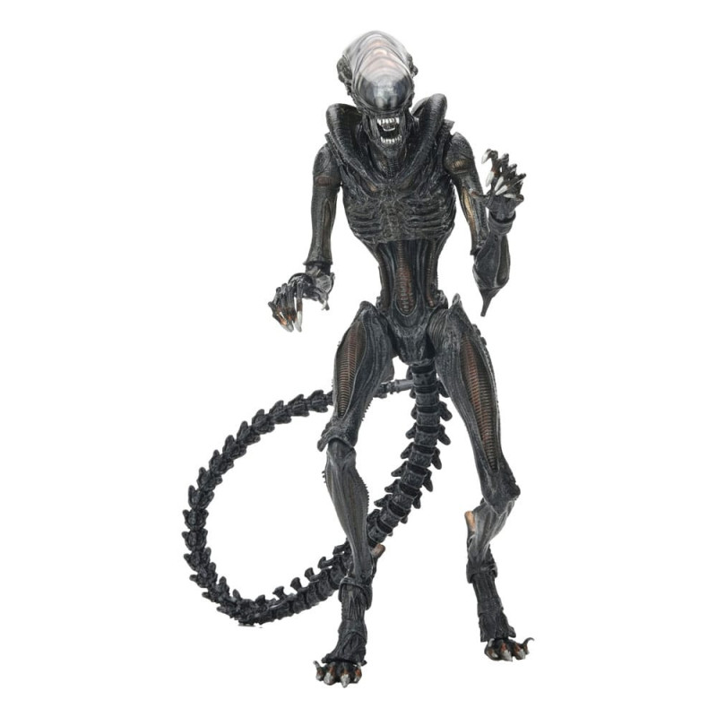 FÉVRIER 2025 : Alien : Romulus - Accessoires pour figurines Accessory Pack