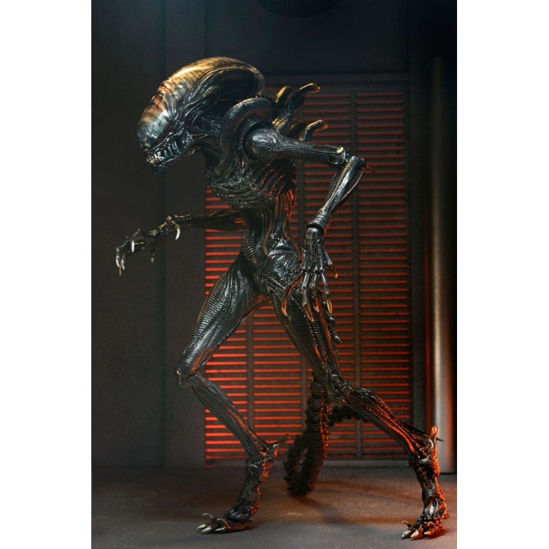 FÉVRIER 2025 : Alien : Romulus - Accessoires pour figurines Accessory Pack