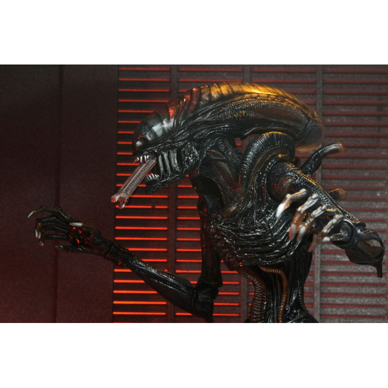 FÉVRIER 2025 : Alien : Romulus - Accessoires pour figurines Accessory Pack