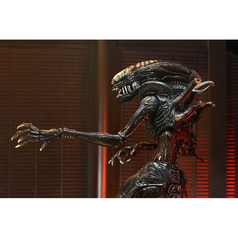 FÉVRIER 2025 : Alien : Romulus - Accessoires pour figurines Accessory Pack