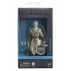 Star Wars : Jedi Survivor - Black Series - Figurine Dagan Gera 15 cm