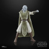 MARS 2025 : Star Wars : Jedi Survivor - Black Series - Figurine Dagan Gera 15 cm