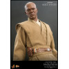 Star Wars : Episode II - Figurine Mace Windu Hot Toys