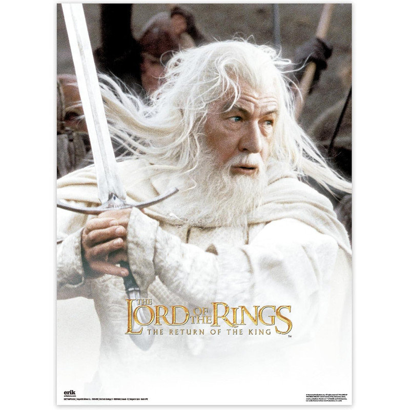 Lord of the Rings - Set de 2 posters Return of the King (52 x 38 cm)