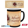 Harry Potter - Mug thermo-réactif Misfits Managed