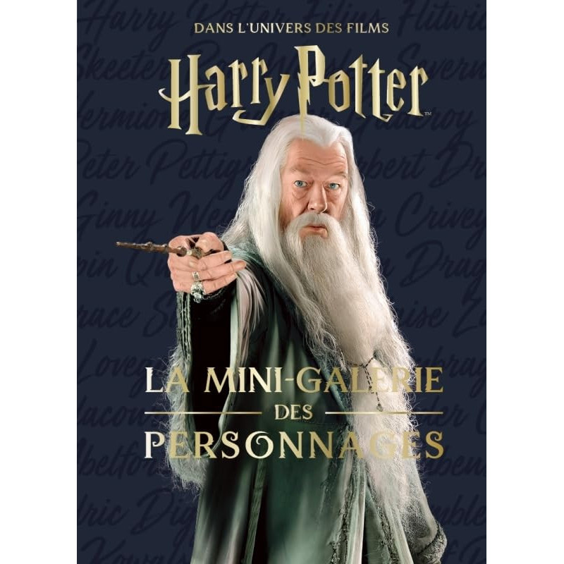 Les mini-grimoires Harry Potter T9 : la mini-galerie des personnages