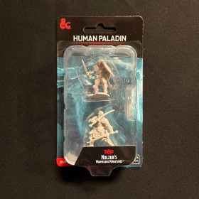 Dungeons & Dragons: Nolzur’s Marvelous - Figurines miniatures à peindre Human Paladin Male