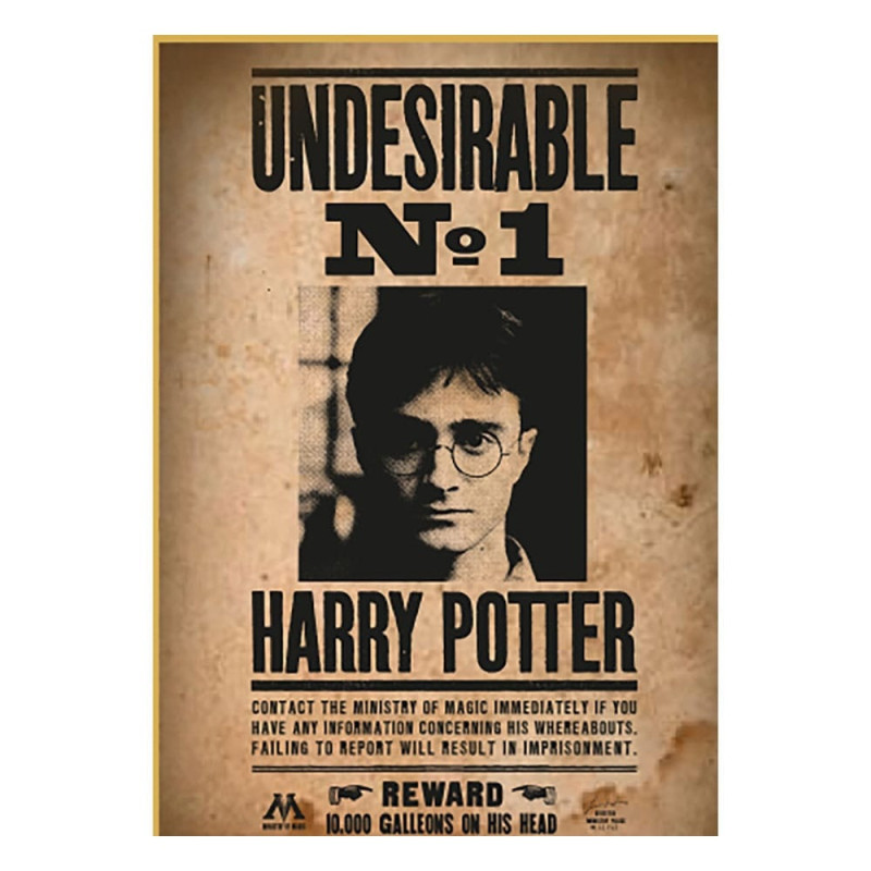 Harry Potter - Puzzle 50 pièces Wanted Undesirable n°1