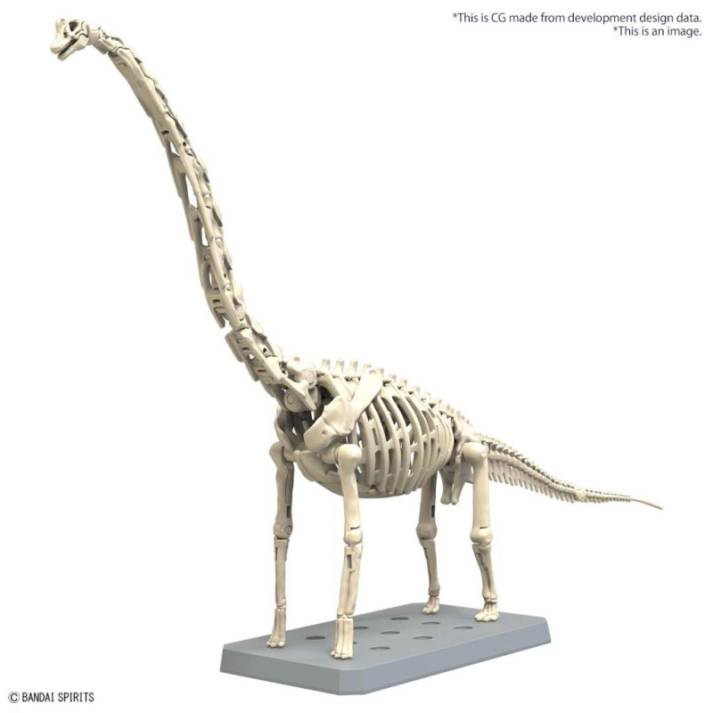 Model Kit Imaginary Skeleton Plannosaurus Brachiosaurus