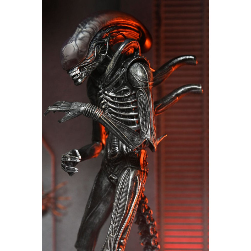 DÉCEMBRE 2025 : Alien : Romulus - Figurine Ultimate Xenomorph XX121 18 cm