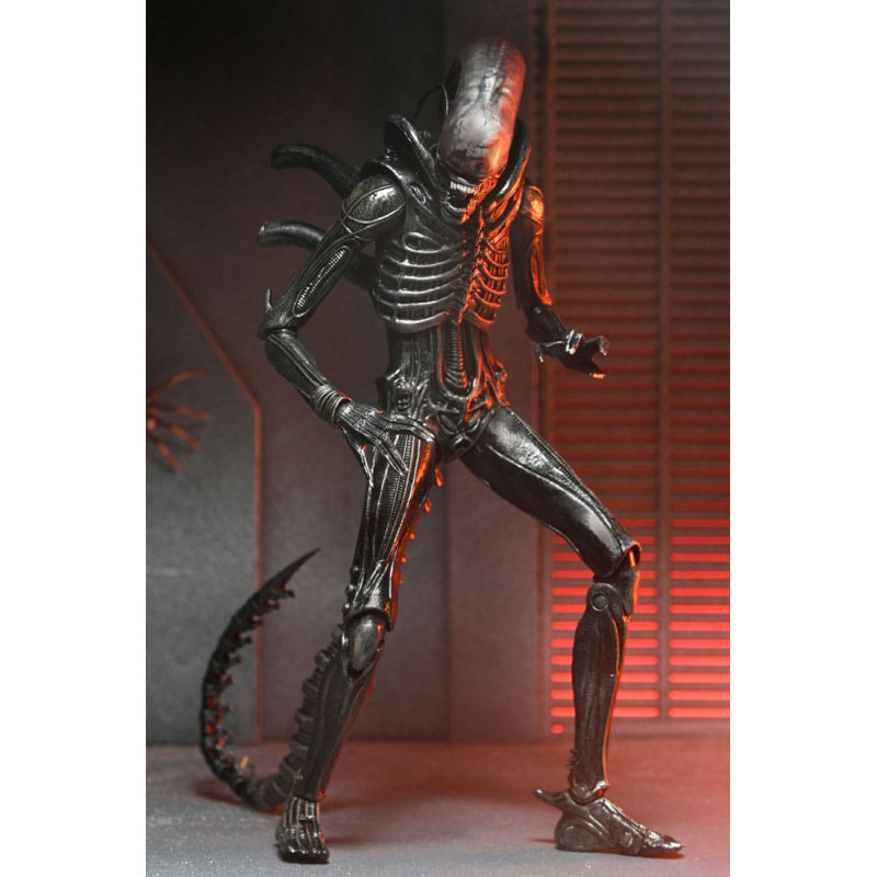 DÉCEMBRE 2025 : Alien : Romulus - Figurine Ultimate Xenomorph XX121 18 cm