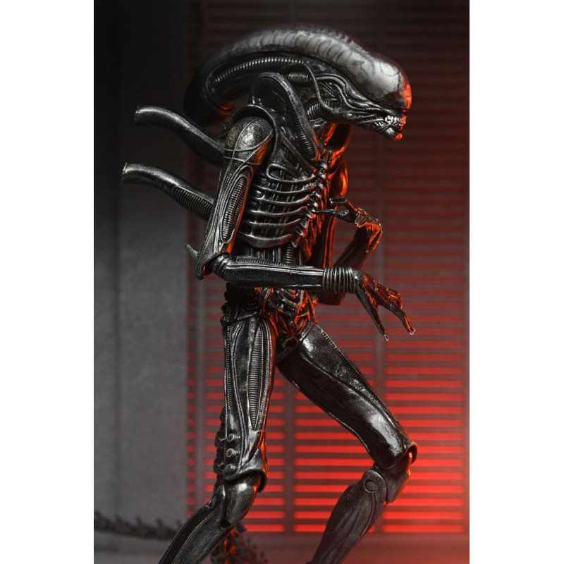 DÉCEMBRE 2025 : Alien : Romulus - Figurine Ultimate Xenomorph XX121 18 cm