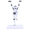 Star Wars - Statuette Original Stormtrooper Crane Kick 20 cm